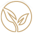 viroshield_icon_green